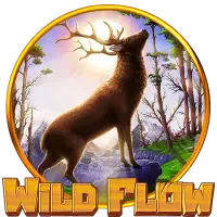 Wild Flow game cover