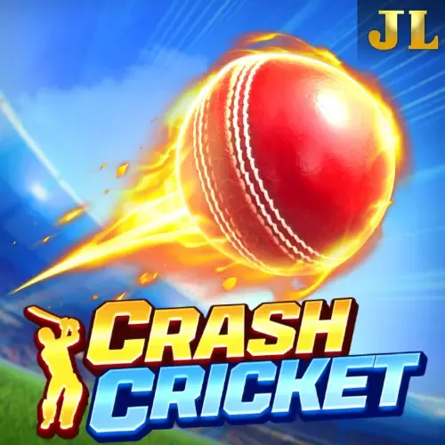 Crash Cricket game cover