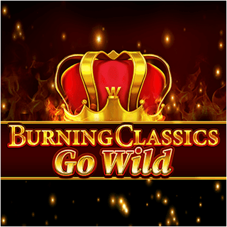 Burning Classics go Wild game cover